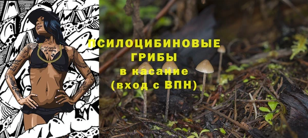 стаф Балабаново