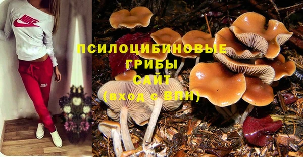 стаф Балабаново