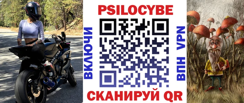 OMG онион  магазин продажи   Певек  Галлюциногенные грибы Psilocybe 